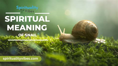 Snail Spiritual Meaning (Decoding Snail’s Sacred Message).